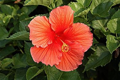 《战地6》开发者：大量玩家是在不到最低配置情况下玩的《战地6》